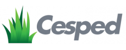 Cesped Surface