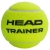 Head Trainer | 72-Ball Bag